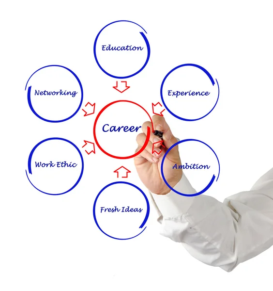 Diagrama del éxito profesional —  Fotos de Stock