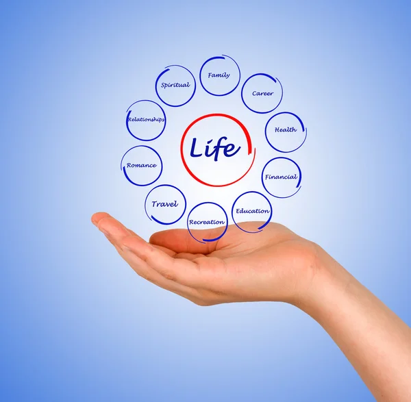 Diagram of life — Stock Photo, Image