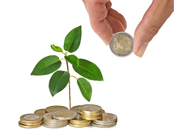 Investing to green business — Stock Photo, Image