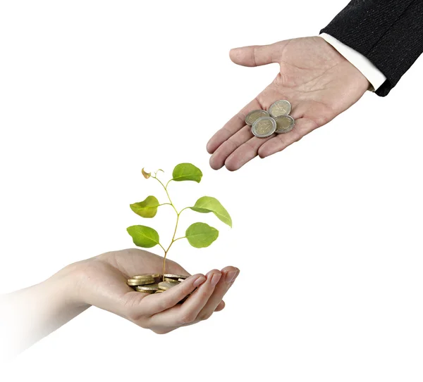 Investering i grønn virksomhet – stockfoto