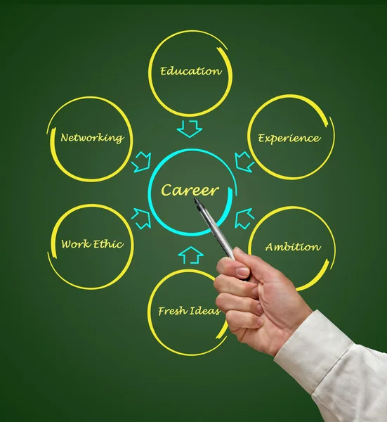 Diagram of career success — Stock Photo, Image