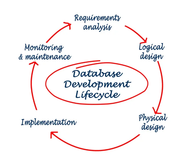 Database development lifecycle — Stock Photo, Image