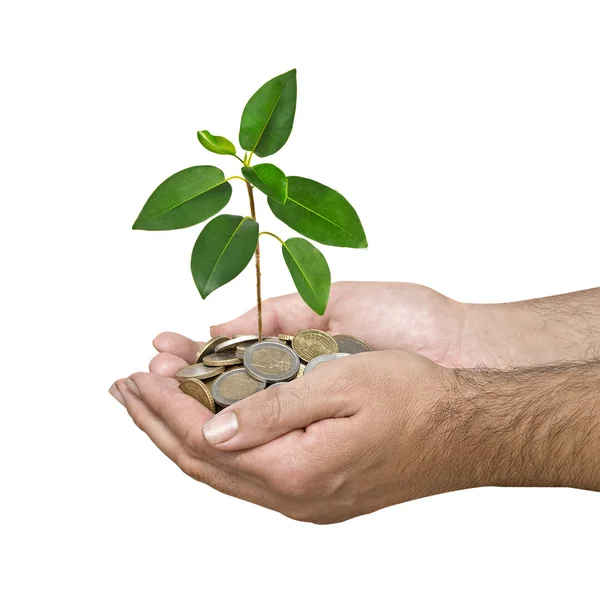 Инвестиции в зеленый бизнес — стоковое фото