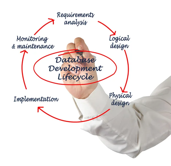 Ciclo de vida del desarrollo de bases — Foto de Stock