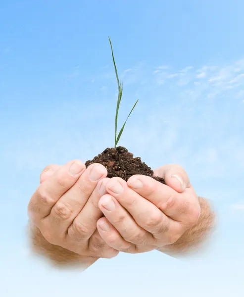 Weizen als Geschenk der Landwirtschaft — Stockfoto