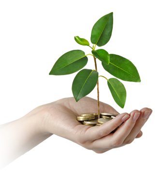 yeşil iş yatırım