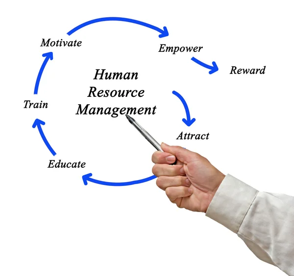 Human resource management — Stock Photo, Image