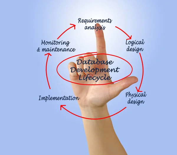 Database development lifecycle — Stock Photo, Image