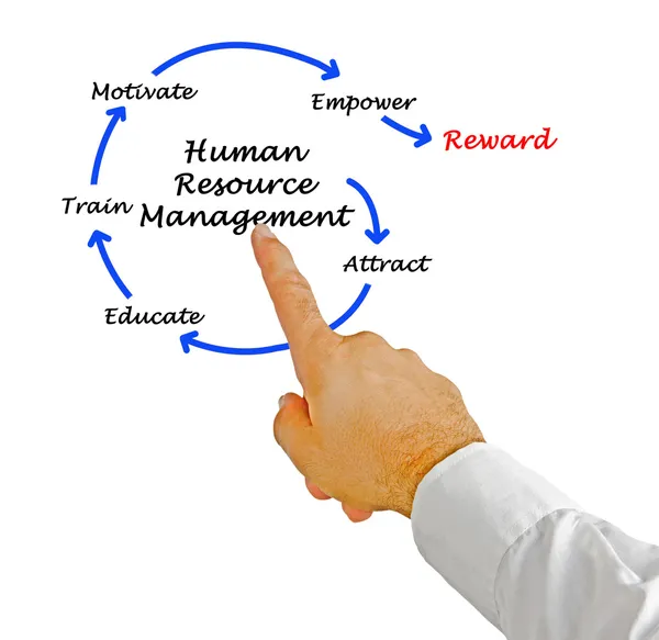 Human resourcemanagement — Stockfoto