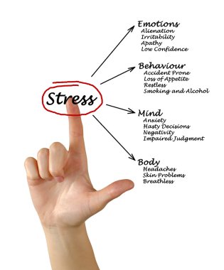 Diyagram stres sonuçları