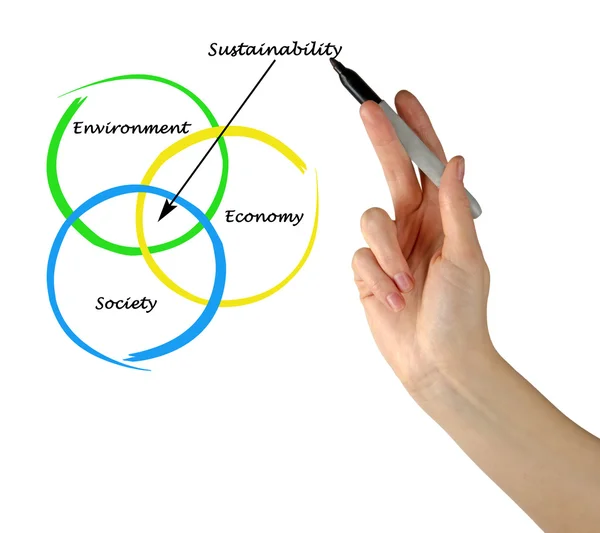 Apresentação do diagrama de sustentabilidade — Fotografia de Stock