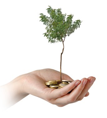yeşil iş yatırım