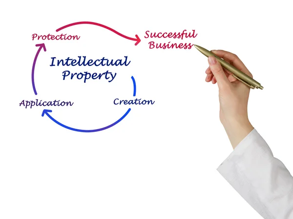 Intellectual property diagram — Stock Photo, Image