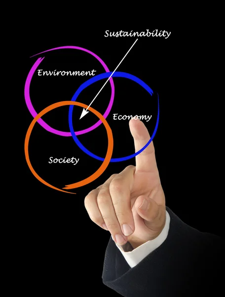 Presentación del diagrama de sostenibilidad —  Fotos de Stock