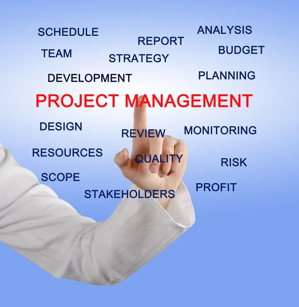 Project leader — Stock Photo, Image