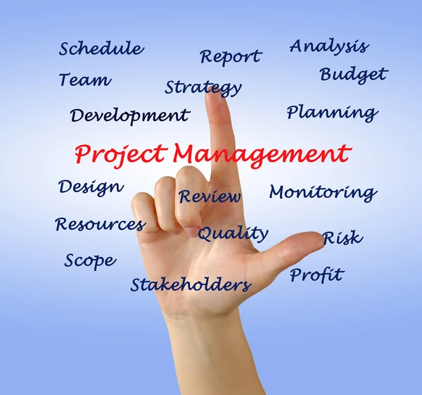 Project leader — Stock Photo, Image