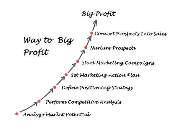大きな利益を得る方法 — ストック写真