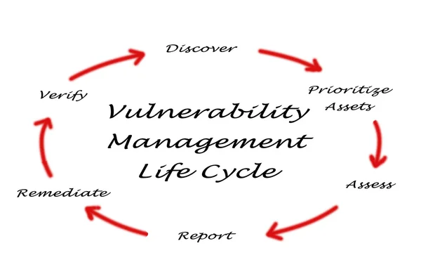 Gestión de la vulnerabilidad del ciclo de vida — Foto de Stock