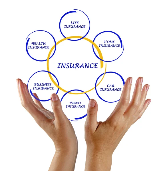 Woman presenting insurance diagram — Stock Photo, Image