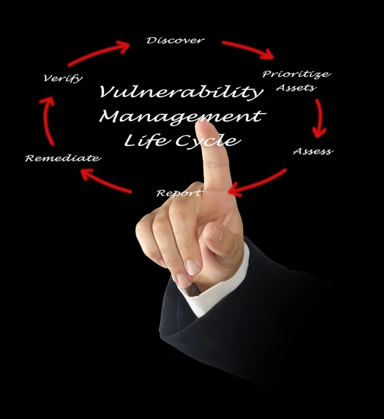 Vulnerability management of life cycle — Stock Photo, Image
