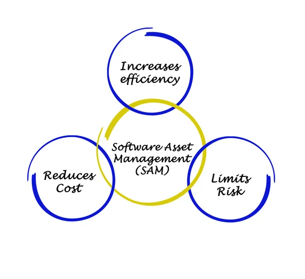 Software Asset Management — Stock Photo, Image