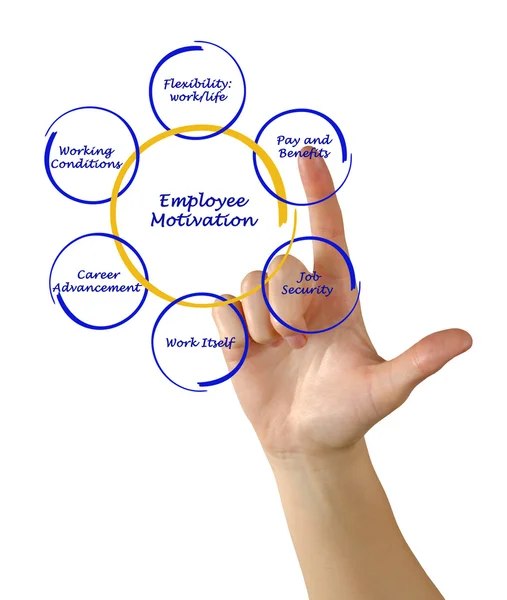 Diagram of employee motivation — Stock Photo, Image