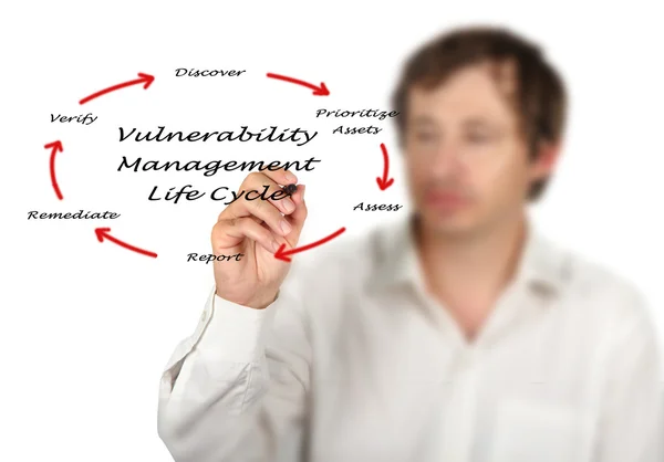 Ciclo de vida de gestión de vulnerabilidad — Foto de Stock