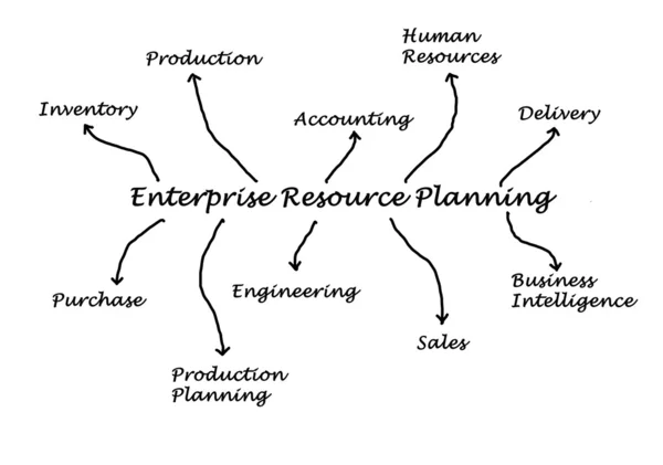 Enterprise resourceplanning — Stockfoto