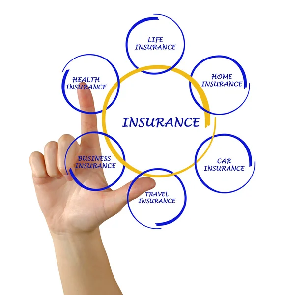 Woman presenting insurance diagram — Stock Photo, Image