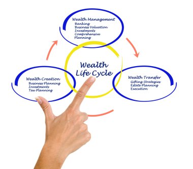 varlık yaşam döngüsü