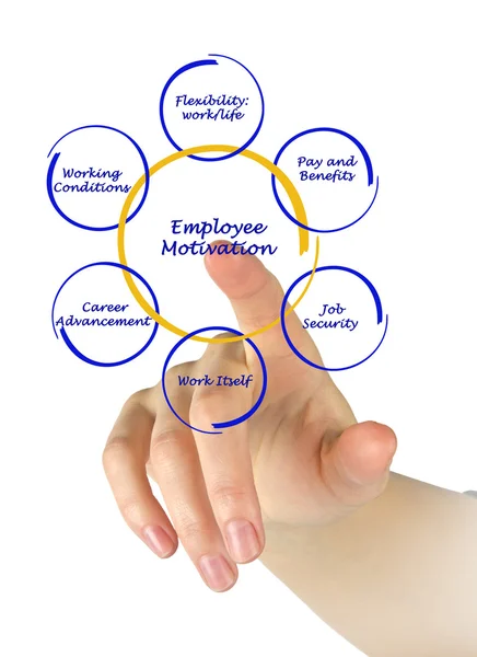Diagram of employee motivation — Stock Photo, Image
