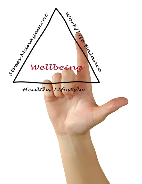 Diagrama de bienestar — Foto de Stock