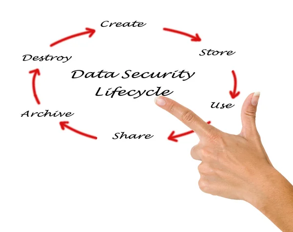 Database development lifecycle — Stock Photo, Image