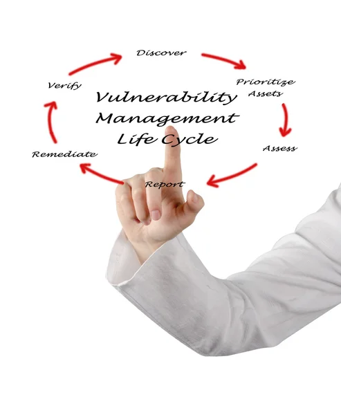 Vulnerability management of life cycle — Stock Photo, Image