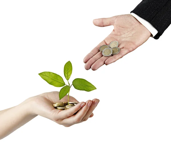 Investing to green business — Stock Photo, Image