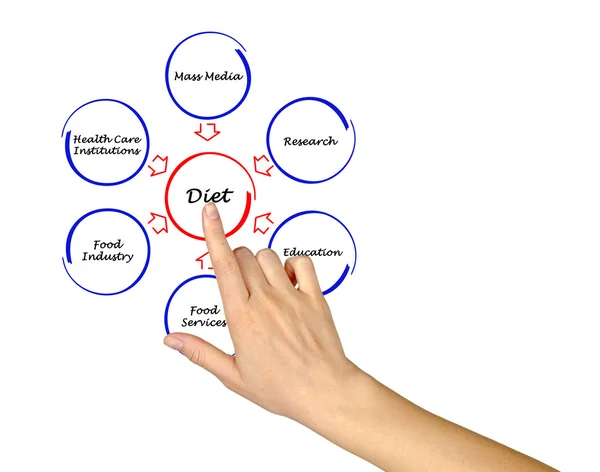 Diagrama de dieta — Foto de Stock