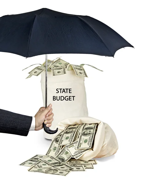 Bag with state budget — Stock Photo, Image