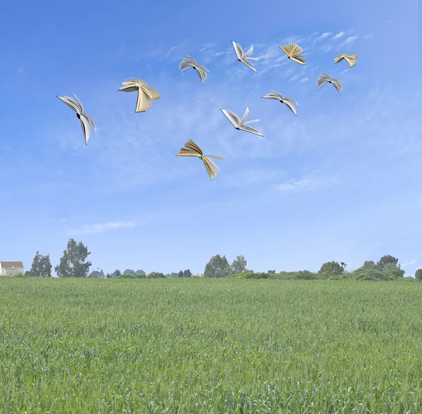 Fliegende Bücher — Stockfoto