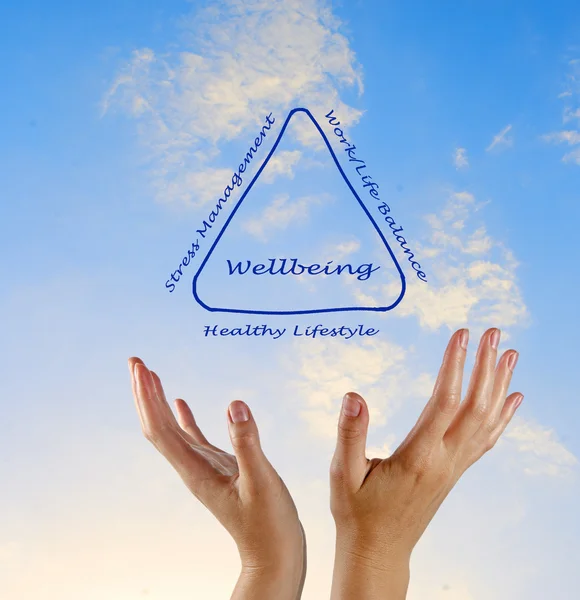 Diagram of wellbeing — Stock Photo, Image