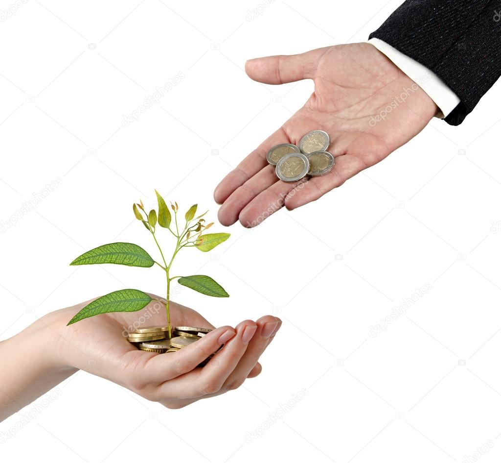 Investing to green business