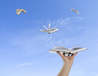 kitap elinden uçan