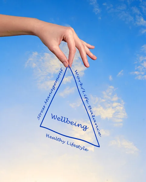 Diagram of wellbeing — Stock Photo, Image