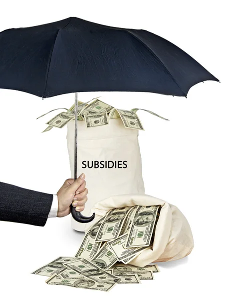 Bag with subsidies — Stock Photo, Image