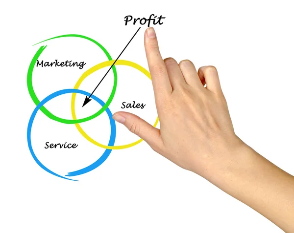 Diagrama de lucro — Fotografia de Stock