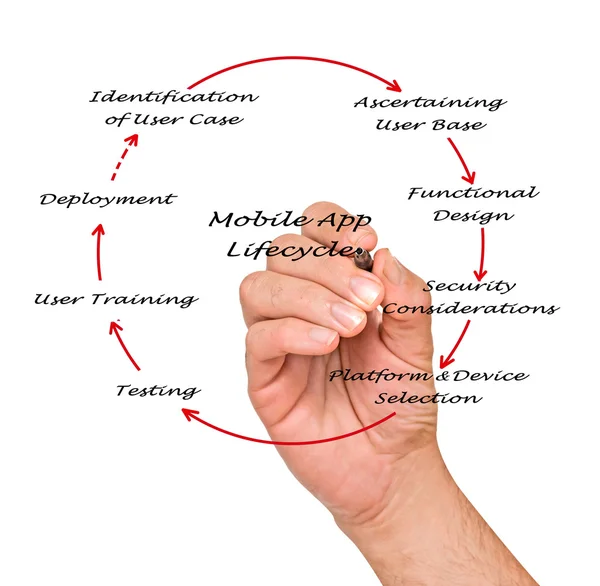 Ciclo de vida de la aplicación móvil —  Fotos de Stock