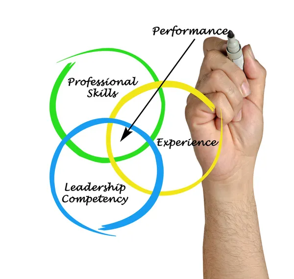 Diagrama del rendimiento — Foto de Stock