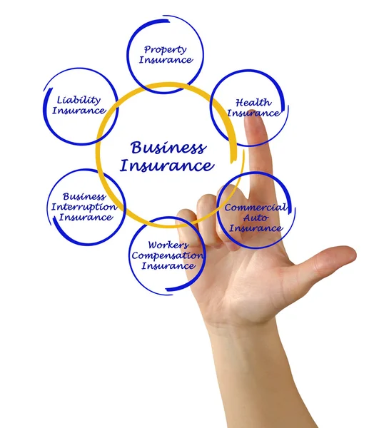 Diagram of business insurance — Stock Photo, Image