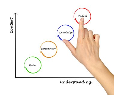 knoweledge diyagramı