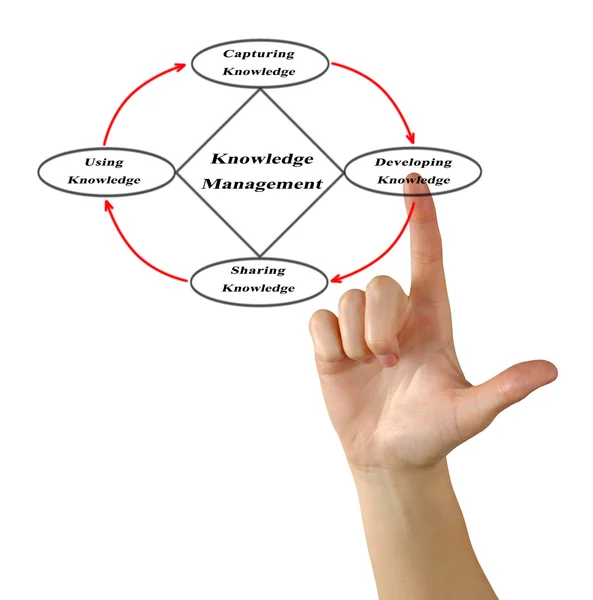 Diagram för kunskapshantering — Stockfoto