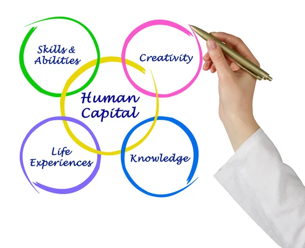 Human capital — Stock Photo, Image
